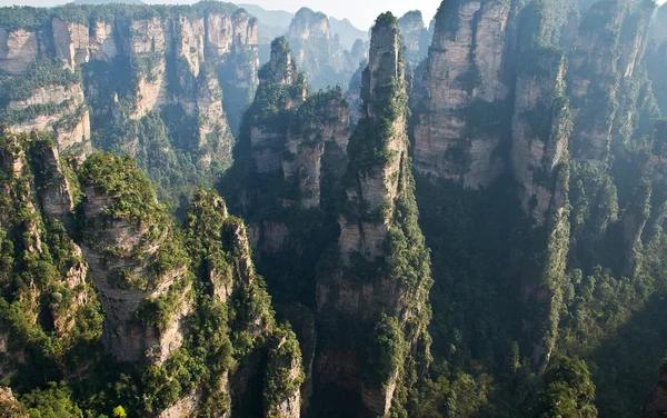 Skogklädda klippor i Zhangjiajie national park, Kina Stockbild