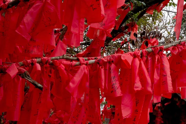 Κόκκινες κορδέλες για καλή τύχη, Tianmenshan εθνικό πάρκο, Κίνα Φωτογραφία Αρχείου