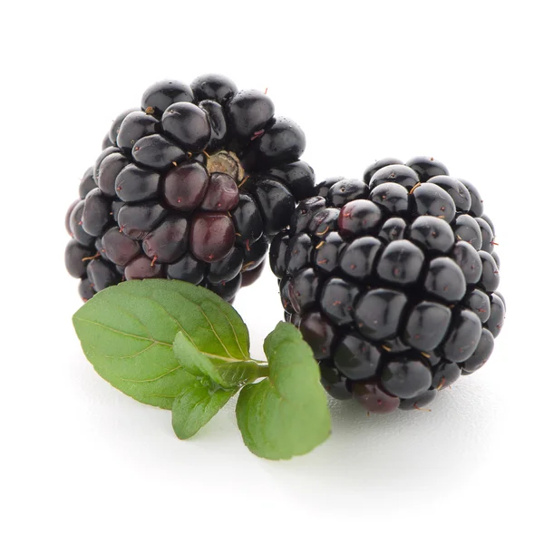 Blackberries with leaves — Stock Photo, Image