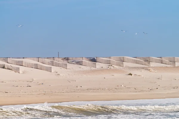 Piaszczystej plaży i wydm w Portugalii — Zdjęcie stockowe