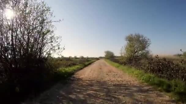 Point of view shot of riding a bicycle — Stock Video