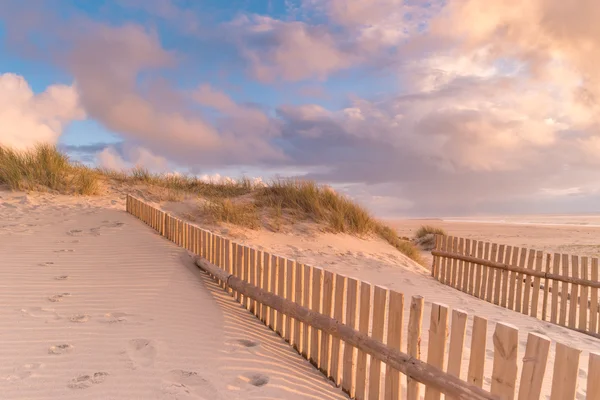 Dune çit sahilde — Stok fotoğraf