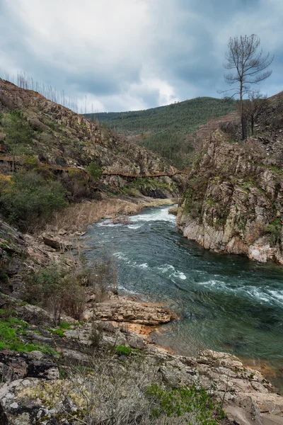 Paiva nehir Portekiz — Stok fotoğraf