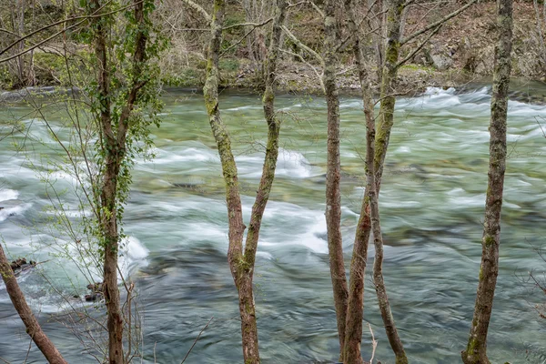 Paiva-elven i Portugal – stockfoto