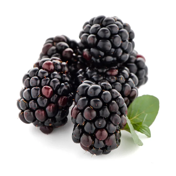 Blackberries with leaves — Stock Photo, Image