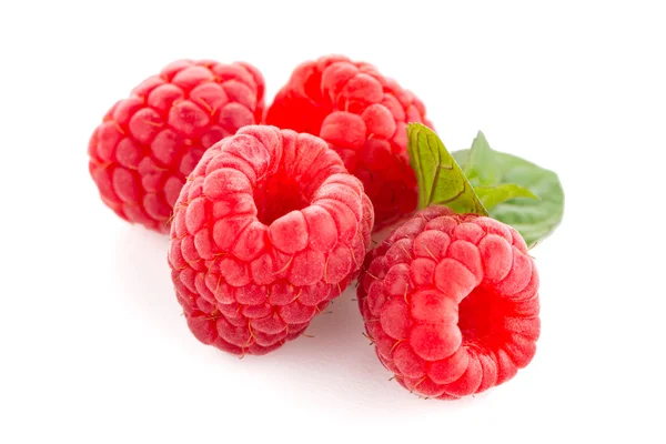 라즈베리 과일 절연 — 스톡 사진
