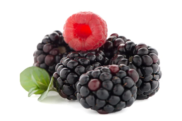 Hallon med blackberry — Stockfoto