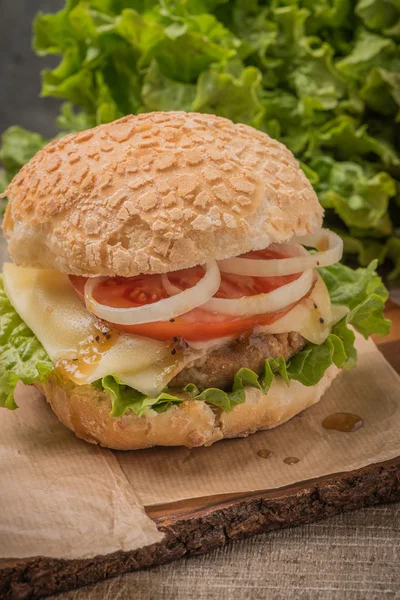 Burger vegetarian de casă — Fotografie, imagine de stoc