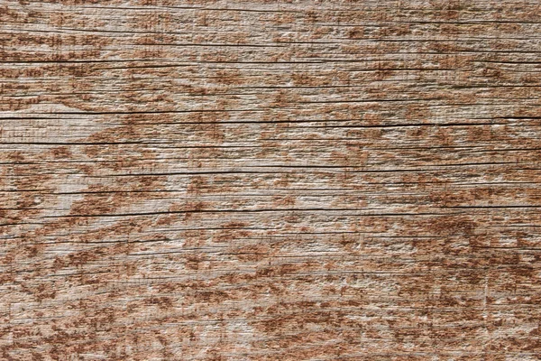 Textura de madera fondo —  Fotos de Stock