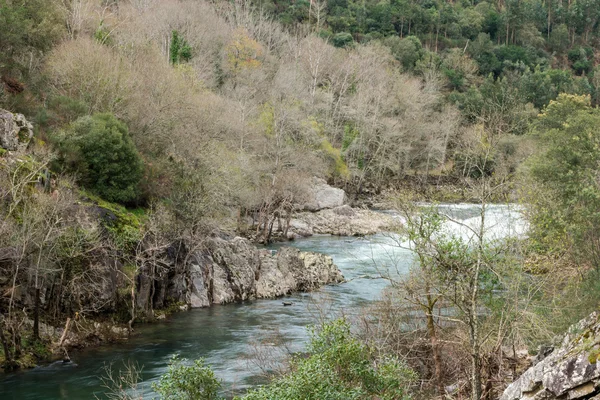 Пайва річка в Португалії — стокове фото