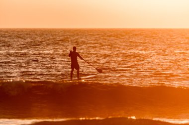 Gün batımında paddler siluet kadar stand