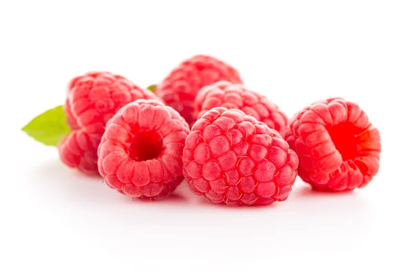 라즈베리 과일 절연 — 스톡 사진