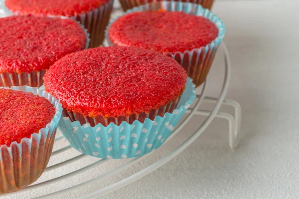 Cupcake di velluto di barbabietola — Foto Stock