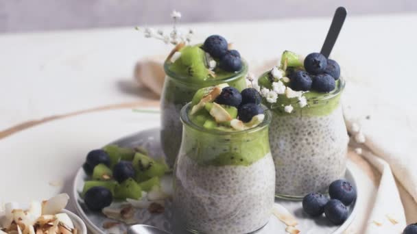 Chiapudding Med Kiwi Blåbär Och Kokosskivor Tre Portioner Glasburkar Ett — Stockvideo