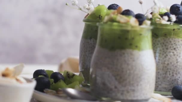 Chia Pudding Kiwi Blueberries Coconut Slices Three Portions Glass Jars — Stock Video