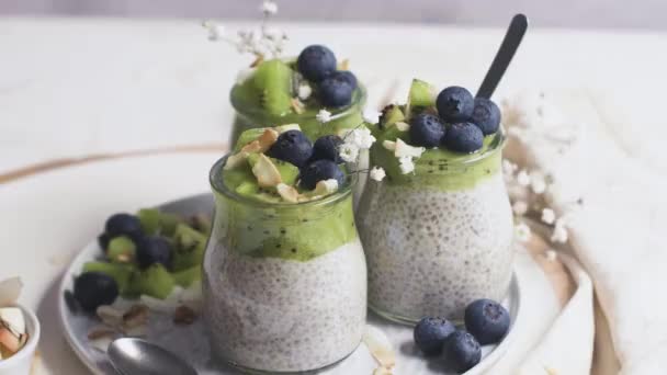 Chiapudding Med Kiwi Blåbär Och Kokosskivor Tre Portioner Glasburkar Ett — Stockvideo