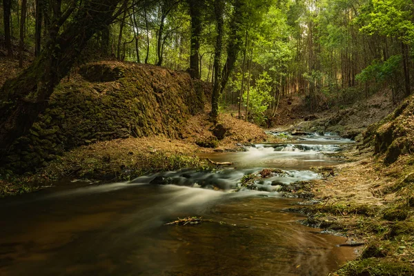Wasserlauf Des Flusses Lourido Park Des Estalisnau Brunnens Maceda Ovar — Stockfoto