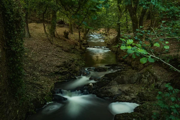 Fluxo Água Rio Lourido Parque Fonte Estalisnau Maceda Ovar Portugal — Fotografia de Stock