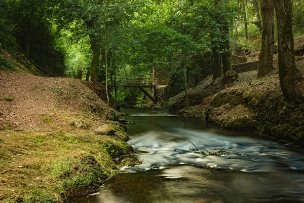 Wasserlauf Des Flusses Lourido Park Des Estalisnau Brunnens Maceda Ovar — Stockfoto