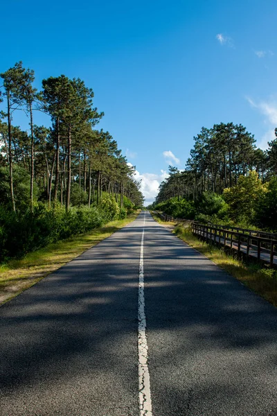 Asphalt Road Wooden Walkway Ovar Esmoriz Portugal Atlantico Eco Trail — Stock Photo, Image