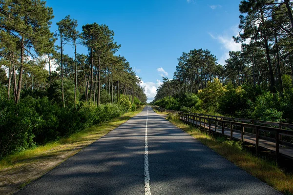 Asphalt Road Wooden Walkway Ovar Esmoriz Portugal Atlantico Eco Trail — Stock Photo, Image