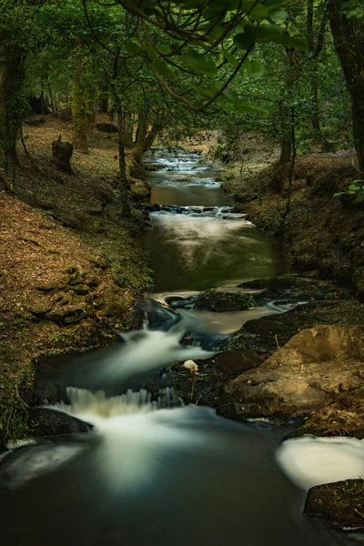 Fluxo Água Rio Lourido Parque Fonte Estalisnau Maceda Ovar Portugal — Fotografia de Stock