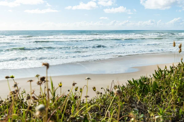 Paisagem Praia São Pedro Maceda Ovar Portugal — Fotografia de Stock