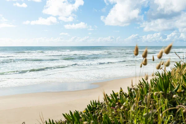 Paisagem Praia São Pedro Maceda Ovar Portugal — Fotografia de Stock