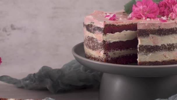 Tranche Gâteau Aux Fraises Gâteau Éponge Aux Fraises Fraîches Crème — Video