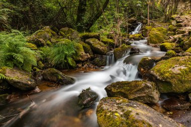 Portekiz 'in Gresso Nehri' ndeki güzel su akıntısı. Uzun pozlama yumuşak etkisi.