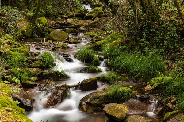 Beautiful Water Stream Gresso River Portugal Long Exposure Smooth Effect — Stock Photo, Image