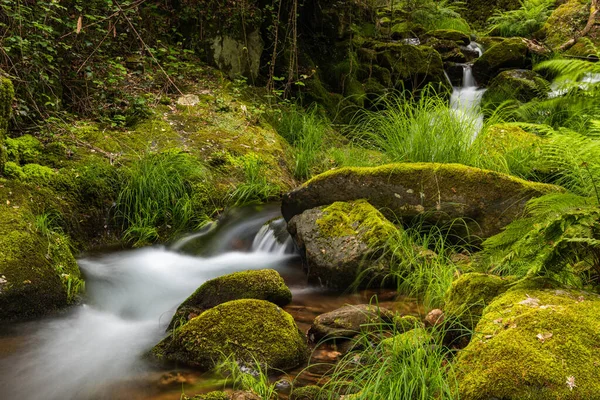 Splendido Corso Acqua Nel Fiume Gresso Portogallo Effetto Liscio Lunga — Foto Stock