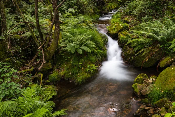 Splendido Corso Acqua Nel Fiume Gresso Portogallo Effetto Liscio Lunga — Foto Stock