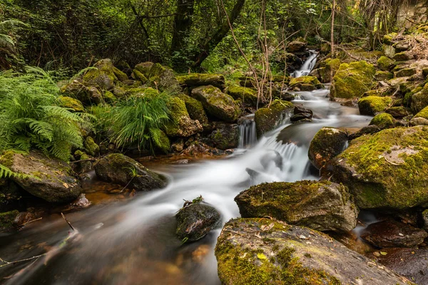 Splendido Corso Acqua Nel Fiume Gresso Portogallo Effetto Liscio Lunga — Foto Stock