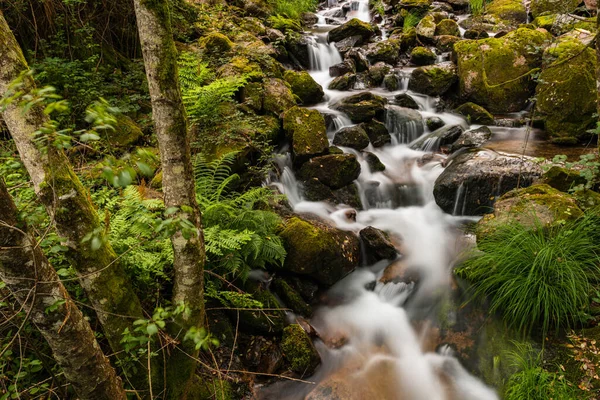 Vakker Vannbekk Gresso Elven Portugal Langvarig Glatt Eksponering – stockfoto