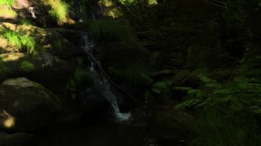 Portekiz 'in güzel şelalesi. Sever do Vouga, Aveiro - Portekiz.