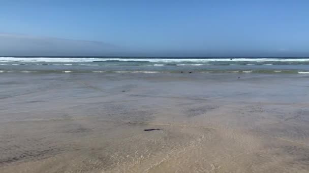 Panoramiczny Widok Piaszczystą Plażę Furadouro Ovar Portugalia — Wideo stockowe