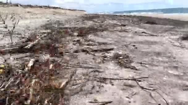 Plastik Şişeler Kirlenmiş Okyanus Kıyısındaki Çöp Kirliliği Çevresel Atıklar Zaman — Stok video