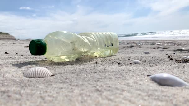 Pollution Environnement Bouteille Plastique Sur Une Côte Clip Vidéo Uhd — Video