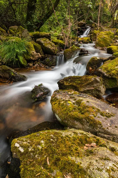 Vacker Vattenbäck Gresso Floden Portugal Långvarig Exponering Slät Effekt — Stockfoto