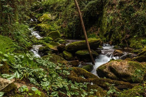 Schöner Wasserlauf Fluss Gresso Portugal Lange Belichtungszeit — Stockfoto