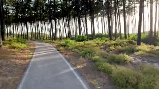 Utsiktsbild Cykling Ovar Portugal Har Vidsträckt Utsikt Över Cykelbanan Och — Stockvideo