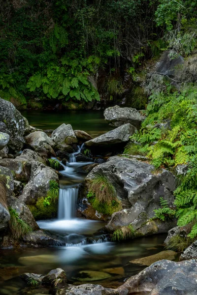 Beau Ruisseau Dans Cascade Poco Cilha Manhouce Sao Pedro Sul — Photo