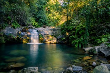 Poco da Cilha Şelalesi, Manhouce, Sao Pedro do Sul, Portekiz 'de güzel bir su akıntısı. Uzun süre maruz kalma efekti. Idyllic yeşil manzarası, dağ ormanı manzarası.