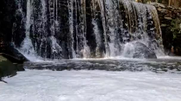 Водоспад Річки Лурідо Парку Фонтану Естаніслау Мака Овар Португалія — стокове відео