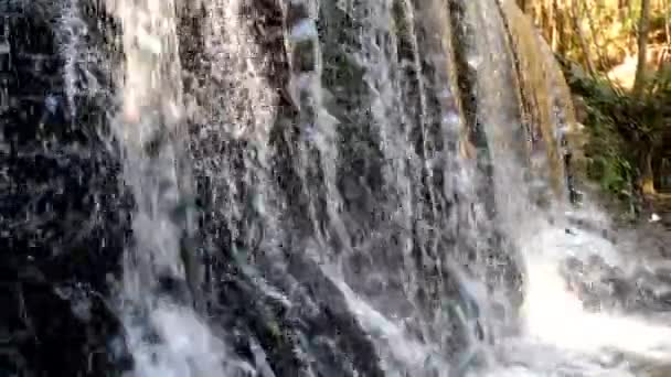 Waterfall Lourido River Park Estanislau Fountain Maceda Ovar Portugal — Stock Video
