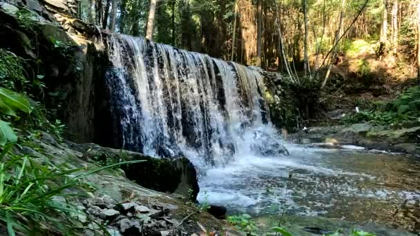 葡萄牙Maceda Ovar的Estanislau喷泉公园的Lourido河瀑布 — 图库视频影像
