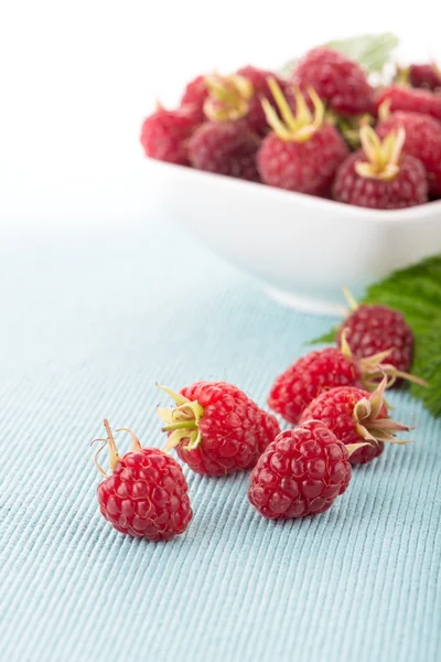 Fresh raspberry — Stock Photo, Image