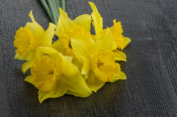 Jonquil κίτρινα λουλούδια — Φωτογραφία Αρχείου