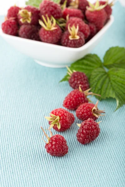 Fresh raspberry — Stock Photo, Image